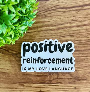 Sticker #80 | Positive R+ is my Love Language Sticker | Laptop & Water Bottle Sticker Decal