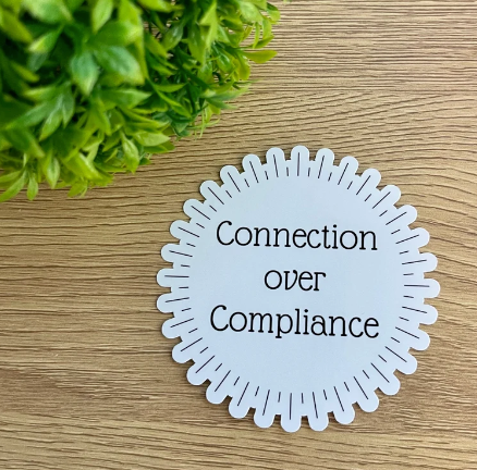 Sticker #109 | Connection over Compliance Sticker | Laptop & Water Bottle Sticker Decal